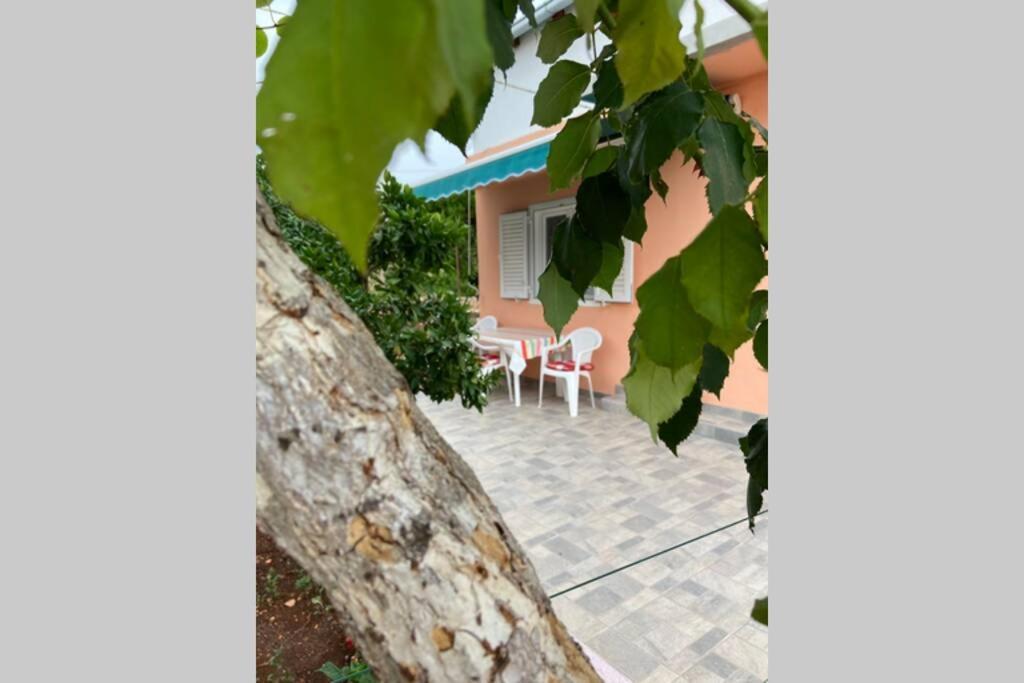 Manuel Daire Korčula Dış mekan fotoğraf